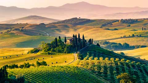 val-d-orcia-olivenoel-aus-der-toskana-rimoco